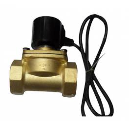 electromagnetic valve water valve DN50 valve 2 inch waterproof AC220V Manufacturer Direct