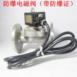 2W-25BF anti-explosion electromagnetic valve anti-explosion stainless steel electromagnetic valve 220V 24V 1 inch DN25