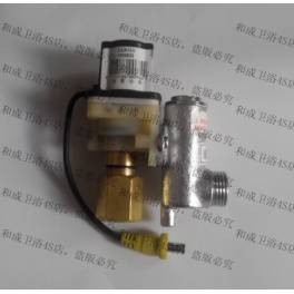 HCG and accessories 2289 electromagnetic valve and electromagnetic valve original genuine genuine Ready Stock