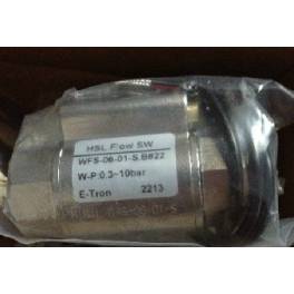 H.S.L. gage electromagnetic valve WFS-06-01-S FLS04 FLS06 FLS08-BS flow switch