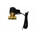 genuine 2L-20 steam screw thread anti-explosion electromagnetic valve air valve all-copper brass Manufacturer Direct 220v