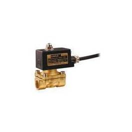 Ready Stock anti-explosion electromagnetic valve model 2W160-50Z Warranty 1 year warranty