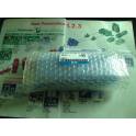 New original Japanese Smc genuine 5 electromagnetic valve VQ5000 VQ5101-4