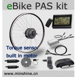 electric sensor motor