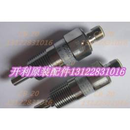 30RB/30RQ electronic flow switch sensor transmitter SC0501/00ppg000003100