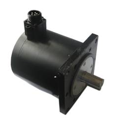 110BYG3501 3502 3503 three phase permanent magnet induction stepping motor
