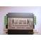 two-in-one video surge protector