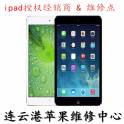 original ipadmini switch power supply vibration