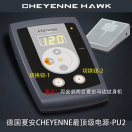 German CHEYENNE motor original dedicated power supply PU-2 switch