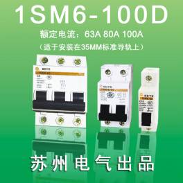1SM6-100D 4P small size circuit breaker air switch electric