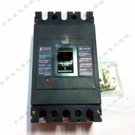 China electric appliance air circuit breaker RDM10-400 3300 315A 400A