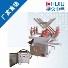 Manufacturer Direct ZW10 isolation vacuum circuit breaker ZW10-12 double power high pressure vacuum circuit breaker switch