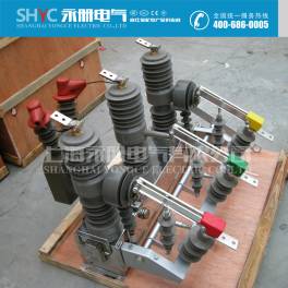 10KV switch ZW32-12 T400-12.5 ZW32-12 T630-20 outdoors high pressure vacuum circuit breaker