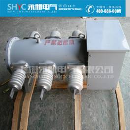 LW3-10KV 630A LW3-10 400A SF6-12KV pole-mounted sulfur hexafluoride switch SF6 circuit breaker