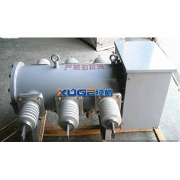 LW3-10I 12I manually Operate LW3-10II 12II electric Operate SF6 sulfur hexafluoride circuit breaker