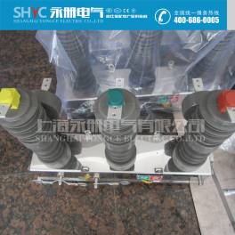 ZW32-12 630-20 ZW32-12G 630-25 outdoors high pressure vacuum circuit breaker 10KV circuit