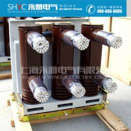 VS1-12 ZN63-12 ZN63-24 VS1-10 630 1000 1250A high pressure vacuum circuit breaker