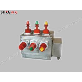 ZW10 ZW32-12G outdoors vacuum load isolation switch 10KV circuit circuit breaker electric with isolation