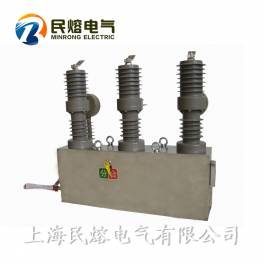 ZW32-12 630-20 12KV outdoors vacuum circuit breaker series