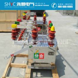electric ZW8-12 G outdoors pole-mounted high pressure vacuum circuit breaker stainless steel electric with isolation