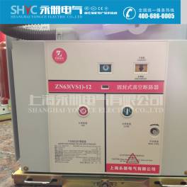 VS1-12 1250-31.5 high pressure vacuum circuit breaker VS1-12 630-25 stationary type