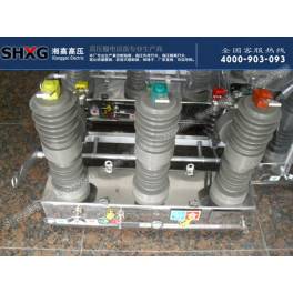 ZW43-12 630 small size ZW32 ZW32ZW8 series 10KV switch high pressure vacuum circuit breaker