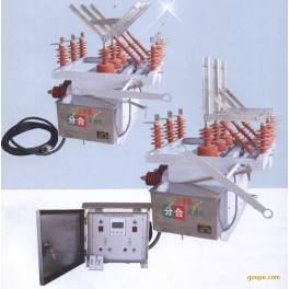 ZW10-12 630 outdoors high pressure vacuum circuit breaker ZW10-12 vacuum switch