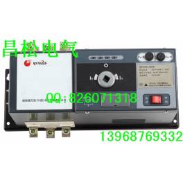 Schneider Automatic Transfer Switching WATSNA 20 32A 2P automatic toggle switch