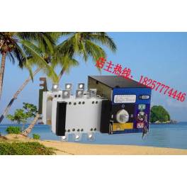 Automatic Transfer Switching 1600A 4P PC seclusion type automatic toggle switch