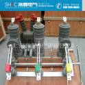 outdoors 10KV high pressure switch ZW32 series ZW32-12G T630A-20KA manually with isolation