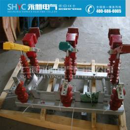 FZW32-12 series FZW32-12 T630-20 outdoors AC high pressure isolation vacuum load switch