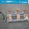 GN6-6T GN8-6T GN6-10T GN8-10T GN6-35T GN6-12 indoor isolation switch