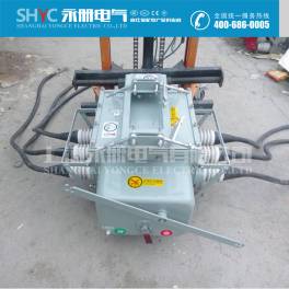 10kvVSP5 pole-mounted vacuum circuit breaker FZW28-12F 630A smart boundary between load switch