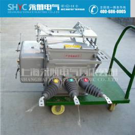 ZW20-12F 630 smart boundary between vacuum circuit breaker with ZW20-12F boundary between load switch
