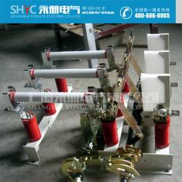 manufacturer FN7-10RD FN7-12RD 630A indoor high pressure load switch fuse group electric appliance