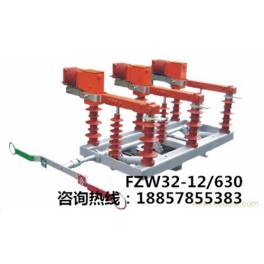 FZW32-12 boundary between vacuum load switch FZW32-12 630-20 vacuum load switch