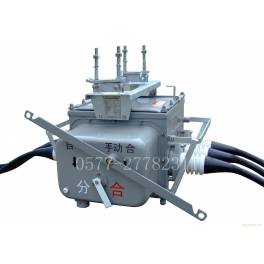 with FZW28-12F 630-20 outdoor high voltage user boundary between load switch