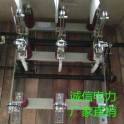 FN7-12D 400 with ground manually high pressure load switch Manufacturer Direct