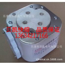 999.9 fast fuse 112F 800V 3200A-0 speediness fuse Warranty