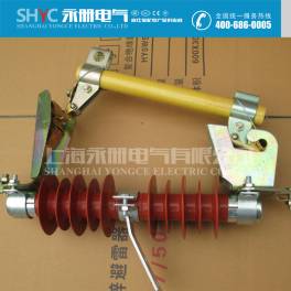RW10-10F 100A HRW10-10F 200A RW10 series drop type fuse with