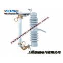 ABB drop type insurance NCX-12KV 200A 100A LBU2-12KV outdoors drop type fuse