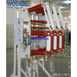 FZRN21-40.5 1250-31.5 with ground fuse 35KV indoor high pressure vacuum load switch
