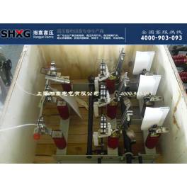 FN7-10 FKRN12 series indoor high pressure load switch with fuse with ground combination electric appliance