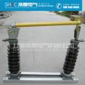 RW5-35 100A RW5-35 200A drop type fuse outdoors drop type insurance