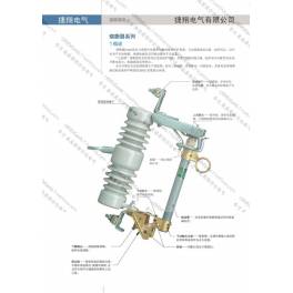 RW12-10KV 12kv 200A drop type fuse 3 420MM