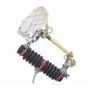 RXWO high pressure throttling fuse group high pressure fuse group RXWO-35 0.5A