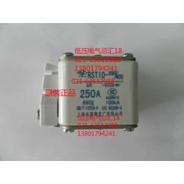 ShangHai electric appliance speediness RST10-690V 400 250A fuse