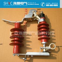 HY5WS-17 50DL fuse surge arrester combination drop type surge arrester HY5WS-17 50DL-TB