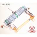 group 10KV drop type fuse RW11-10 100A