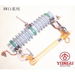 group 10KV drop type fuse RW11-10 100A